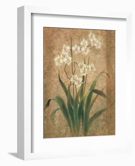 Orchid Study-unknown Chun-Framed Art Print