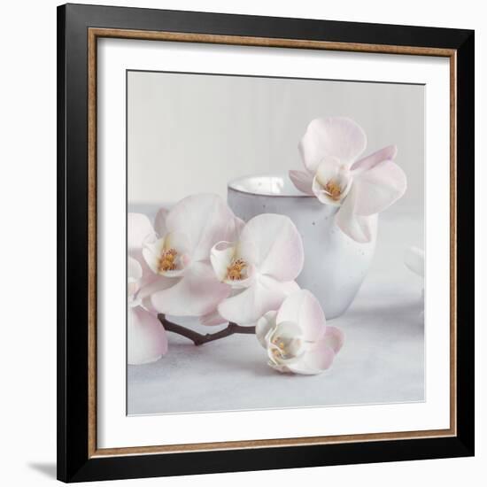 Orchid - Tranquil-Assaf Frank-Framed Giclee Print