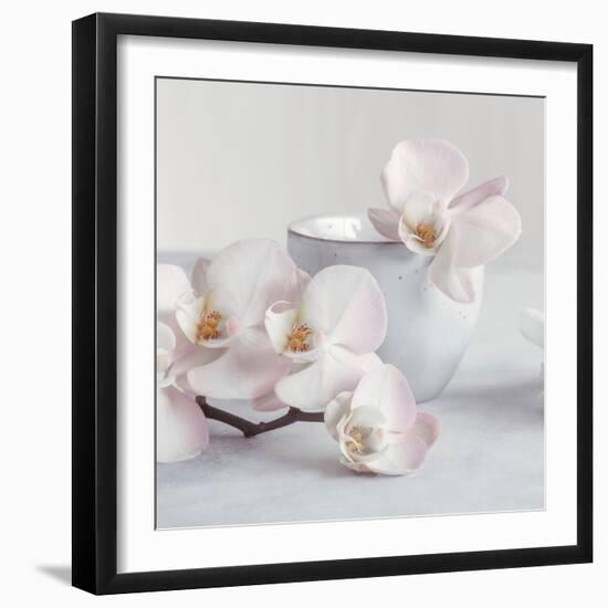 Orchid - Tranquil-Assaf Frank-Framed Giclee Print