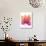 Orchid Tree Pink Orange-Albert Koetsier-Premium Giclee Print displayed on a wall