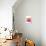 Orchid Tree Pink Orange-Albert Koetsier-Premium Giclee Print displayed on a wall