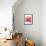 Orchid Tree Pink Orange-Albert Koetsier-Framed Stretched Canvas displayed on a wall