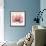 Orchid tree Pink-Albert Koetsier-Framed Premium Giclee Print displayed on a wall