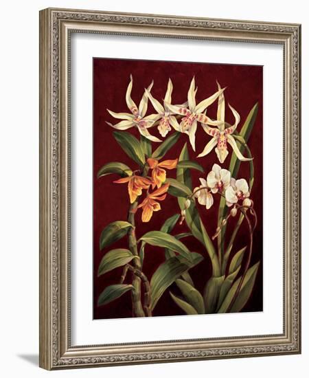 Orchid Trio I-Rodolfo Jimenez-Framed Art Print