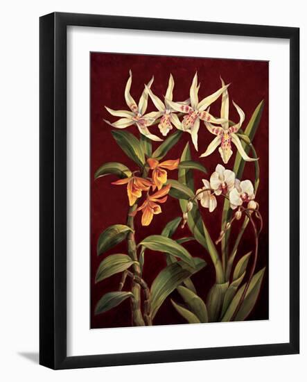 Orchid Trio I-Rodolfo Jimenez-Framed Art Print