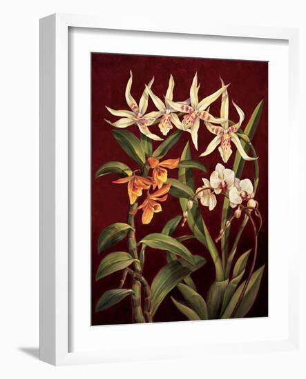 Orchid Trio I-Rodolfo Jimenez-Framed Art Print