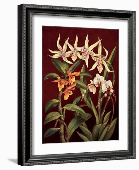Orchid Trio I-Rodolfo Jimenez-Framed Art Print