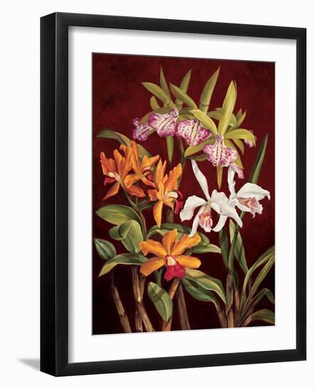 Orchid Trio II-Rodolfo Jimenez-Framed Art Print