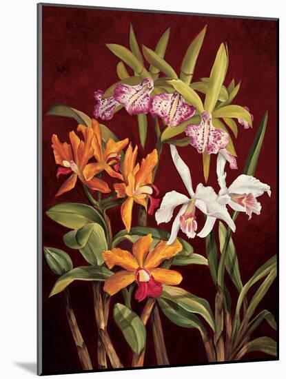 Orchid Trio II-Rodolfo Jimenez-Mounted Art Print