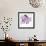 Orchid Undone - One-Jan Weiss-Framed Art Print displayed on a wall