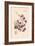 Orchid: Vanda Coerulescens-William Forsell Kirby-Framed Art Print