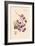 Orchid: Vanda Coerulescens-William Forsell Kirby-Framed Art Print