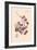 Orchid: Vanda Coerulescens-William Forsell Kirby-Framed Art Print