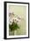 Orchid Vase-Karyn Millet-Framed Photographic Print