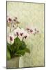 Orchid Vase-Karyn Millet-Mounted Photographic Print