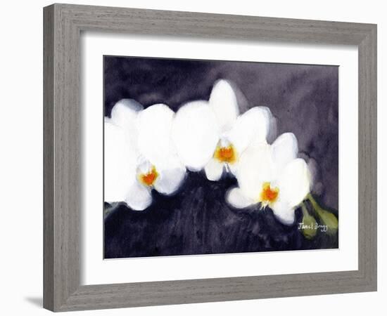 Orchid White Phalaenopsis, C.2021 (Watercolor and Casein on Paper)-Janel Bragg-Framed Giclee Print