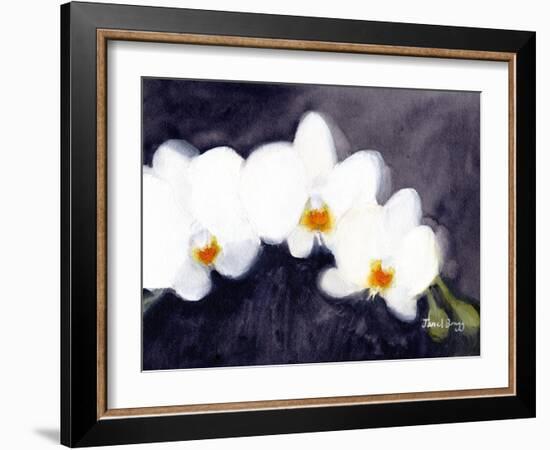 Orchid White Phalaenopsis, C.2021 (Watercolor and Casein on Paper)-Janel Bragg-Framed Giclee Print