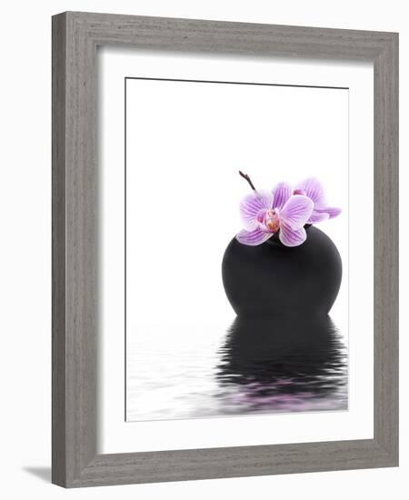 Orchid with Black Vase-Andrea Haase-Framed Photographic Print