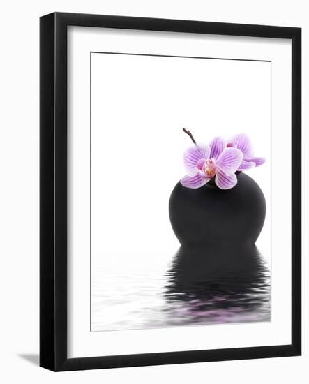 Orchid with Black Vase-Andrea Haase-Framed Photographic Print