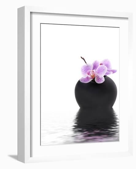 Orchid with Black Vase-Andrea Haase-Framed Photographic Print