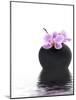 Orchid with Black Vase-Andrea Haase-Mounted Photographic Print