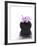 Orchid with Black Vase-Andrea Haase-Framed Photographic Print