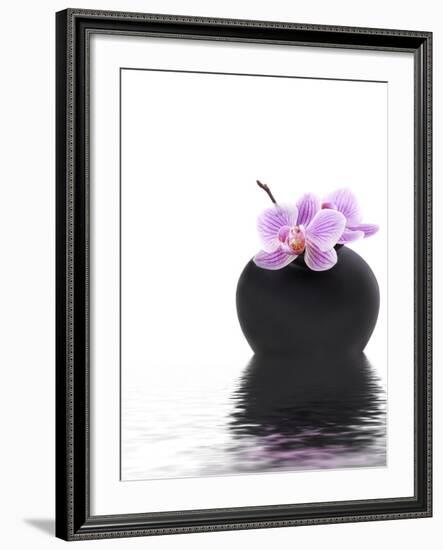 Orchid with Black Vase-Andrea Haase-Framed Photographic Print