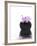 Orchid with Black Vase-Andrea Haase-Framed Photographic Print