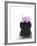 Orchid with Black Vase-Andrea Haase-Framed Photographic Print