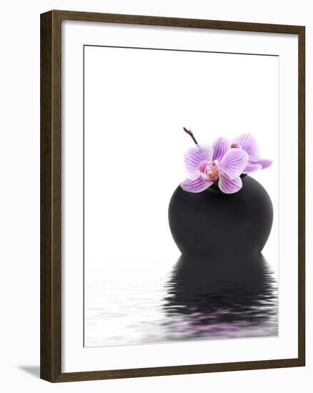 Orchid with Black Vase-Andrea Haase-Framed Photographic Print