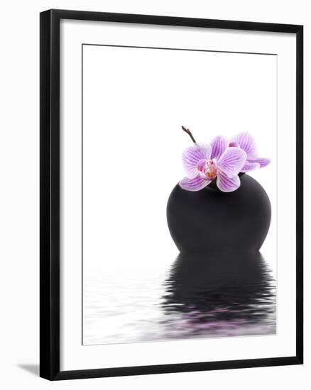 Orchid with Black Vase-Andrea Haase-Framed Photographic Print