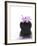 Orchid with Black Vase-Andrea Haase-Framed Photographic Print