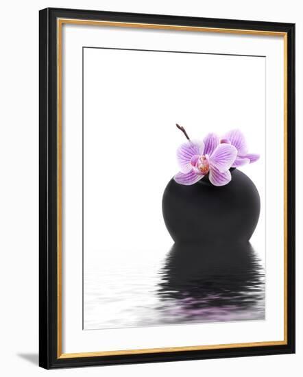 Orchid with Black Vase-Andrea Haase-Framed Photographic Print