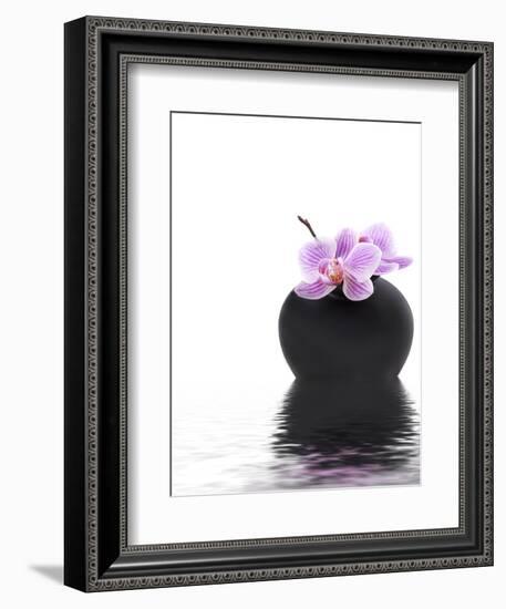 Orchid with Black Vase-Andrea Haase-Framed Photographic Print