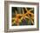 Orchid World, Barbados, Caribbean-Greg Johnston-Framed Photographic Print