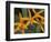 Orchid World, Barbados, Caribbean-Greg Johnston-Framed Photographic Print