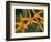 Orchid World, Barbados, Caribbean-Greg Johnston-Framed Photographic Print