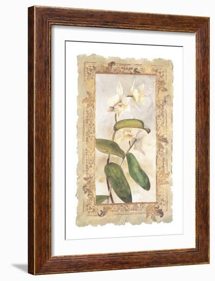 Orchid-George Caso-Framed Art Print