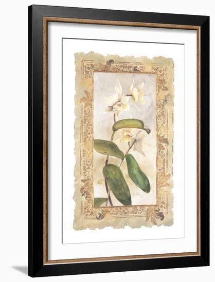 Orchid-George Caso-Framed Art Print