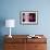 Orchid-Gordon Semmens-Framed Photographic Print displayed on a wall