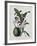 Orchid-Samuel Holden-Framed Giclee Print