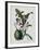 Orchid-Samuel Holden-Framed Giclee Print