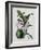 Orchid-Samuel Holden-Framed Giclee Print