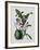 Orchid-Samuel Holden-Framed Giclee Print