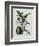 Orchid-Samuel Holden-Framed Giclee Print