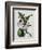 Orchid-Samuel Holden-Framed Giclee Print