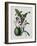 Orchid-Samuel Holden-Framed Giclee Print