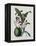 Orchid-Samuel Holden-Framed Premier Image Canvas