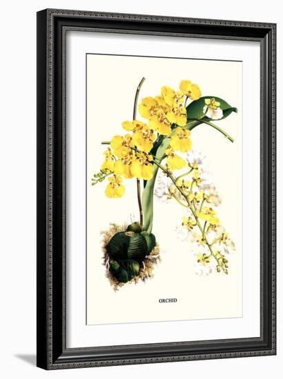 Orchid-Louis Van Houtte-Framed Premium Giclee Print