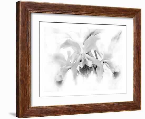 Orchid-Maria Trad-Framed Giclee Print